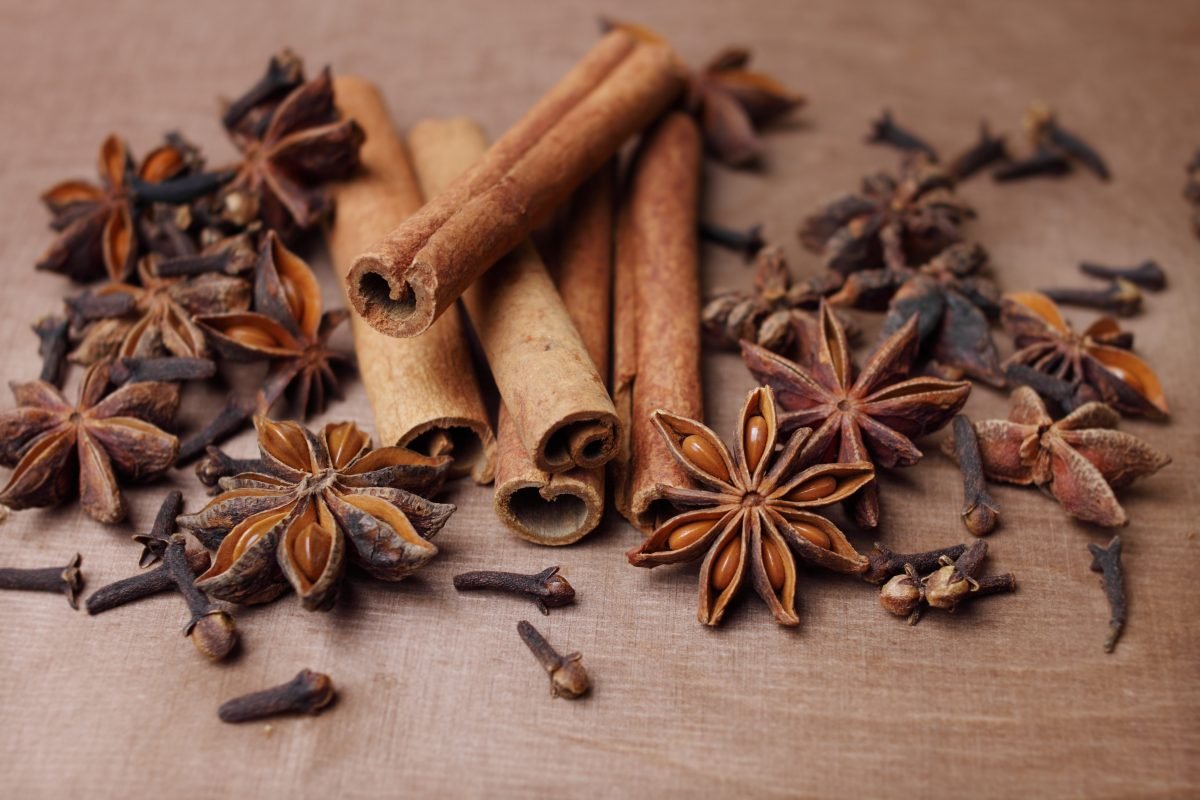 Zamioculcas bude rásť rýchlejšie ako kedykoľvek predtým. Stačí jedno z troch domácich hnojív.