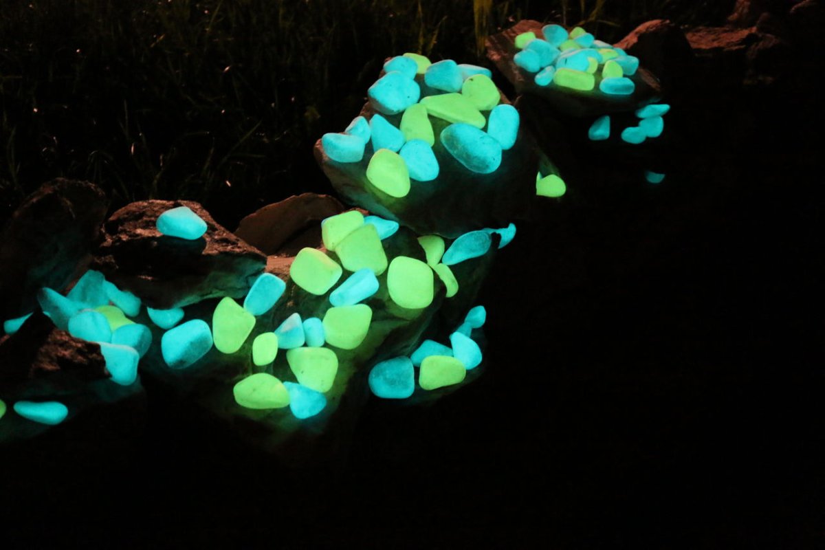 Vyzerajú, ako keby prileteli z inej planéty: vedci vytvorili prvé svietiace rastliny, ktoré sa nabíjajú za pár minút.