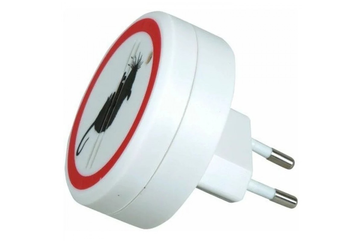 Dom bez hlodavcov za 48 hodín! Cesnakový trik funguje lepšie ako jed