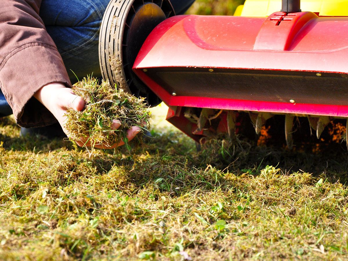 Od októbra nadobúda platnosť zvláštny zákon. Za kosenie trávy bude pokuta
