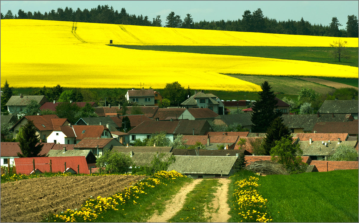 Zlaté mince a zlaté tehličky nájdené na poli patria jednej krajine