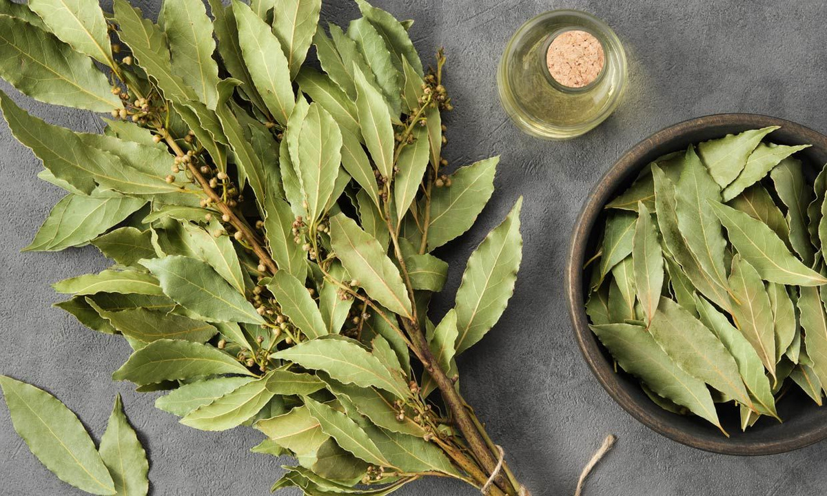 Prírodný prostriedok proti myšiam a potkanom. Stačí táto korenina z kuchyne