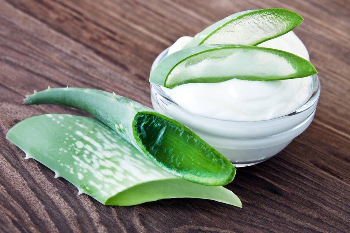 Ako pripraviť krém na tvár s aloe vera na produkciu kolagénu a starostlivosť o pleť