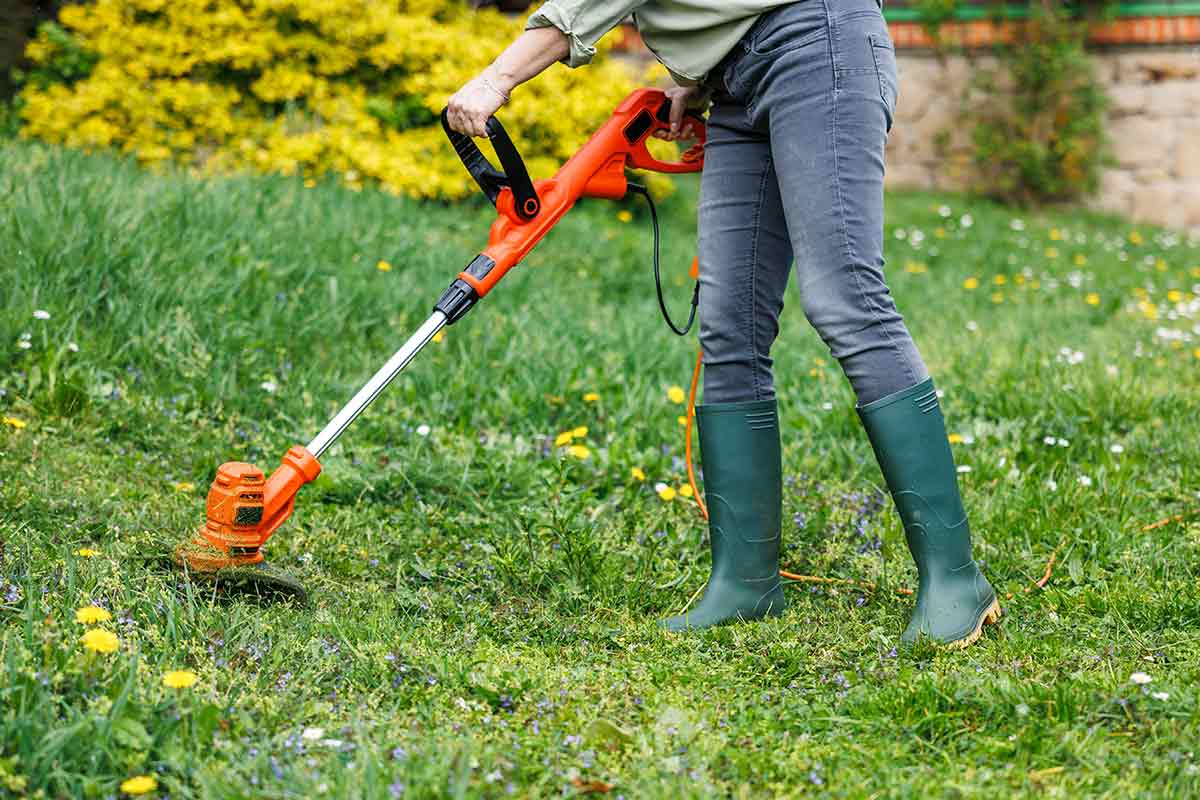 Kedy naposledy pokosiť trávnik? Jedna chyba – a na jar sa na trávniku objaví žltá škvrna.