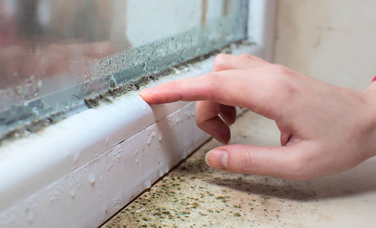 Vďaka tomuto jednoduchému domácemu triku, ktorý odstráni vlhkosť z vášho domu, už nebudete potrebovať odvlhčovač vzduchu