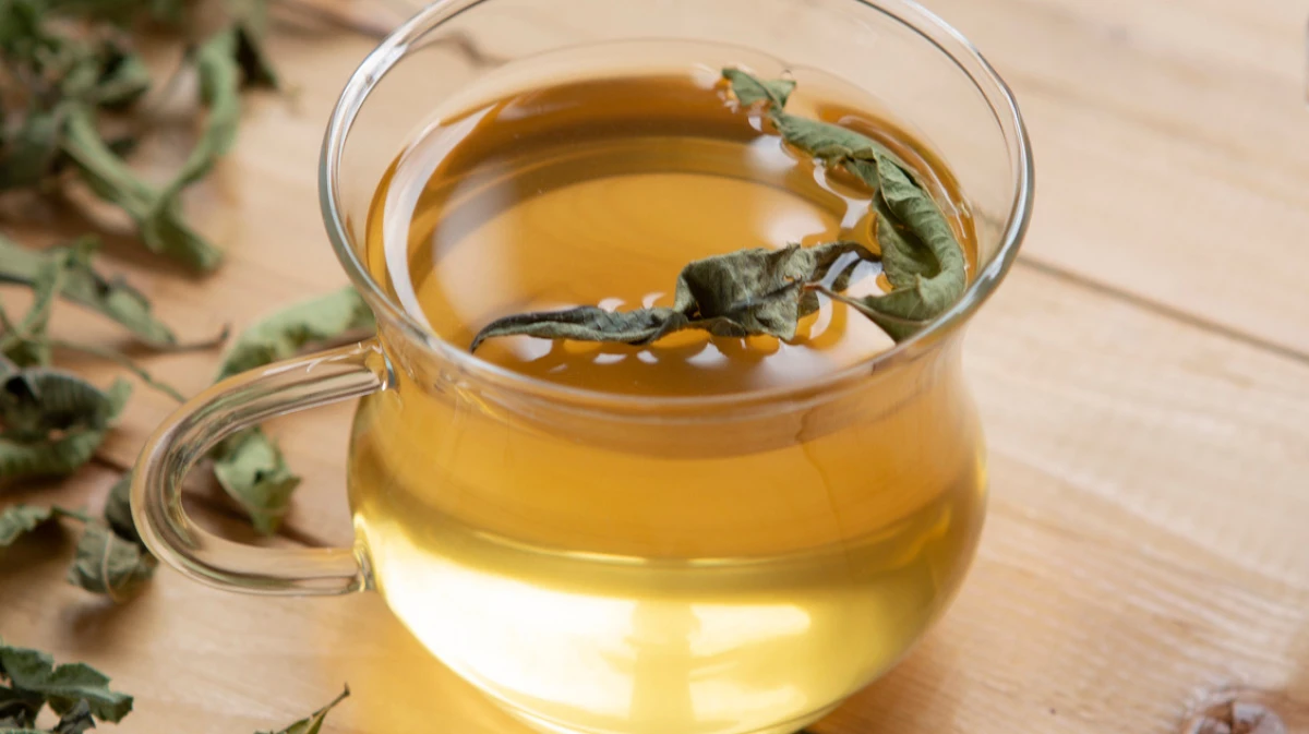 Menej známe vlastnosti medovky – môže pomôcť nielen pri poruchách spánku