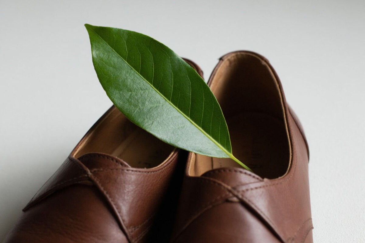 Preto môže bobkový list v topánkach zmeniť váš každodenný život
