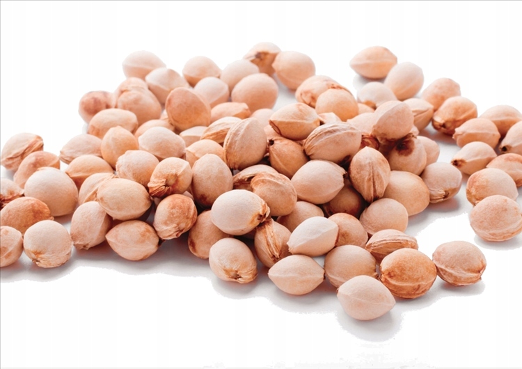 Sú dokonca trikrát lacnejšie ako pelety. O tomto spôsobe vykurovania zatiaľ vie len málo ľudí