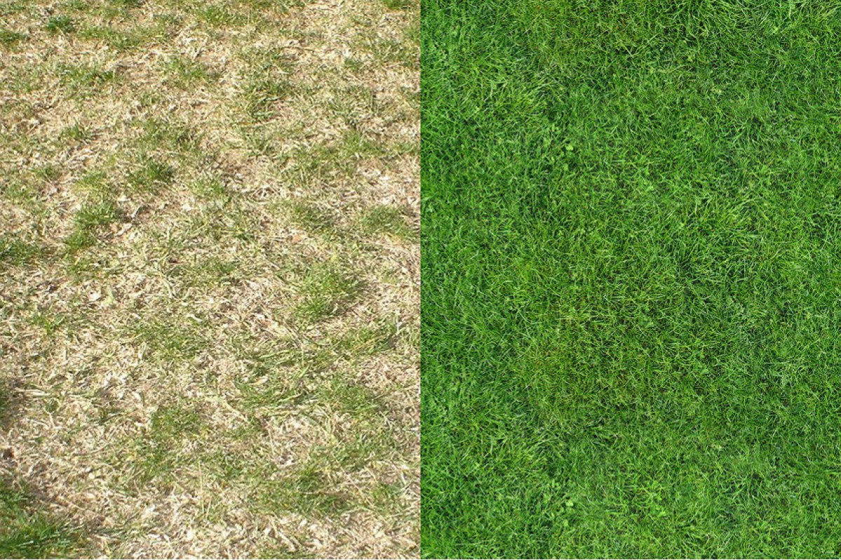 Nezabudnite na túto úpravu na jeseň. Váš trávnik vydrží aj tie najtvrdšie podmienky bez strát.