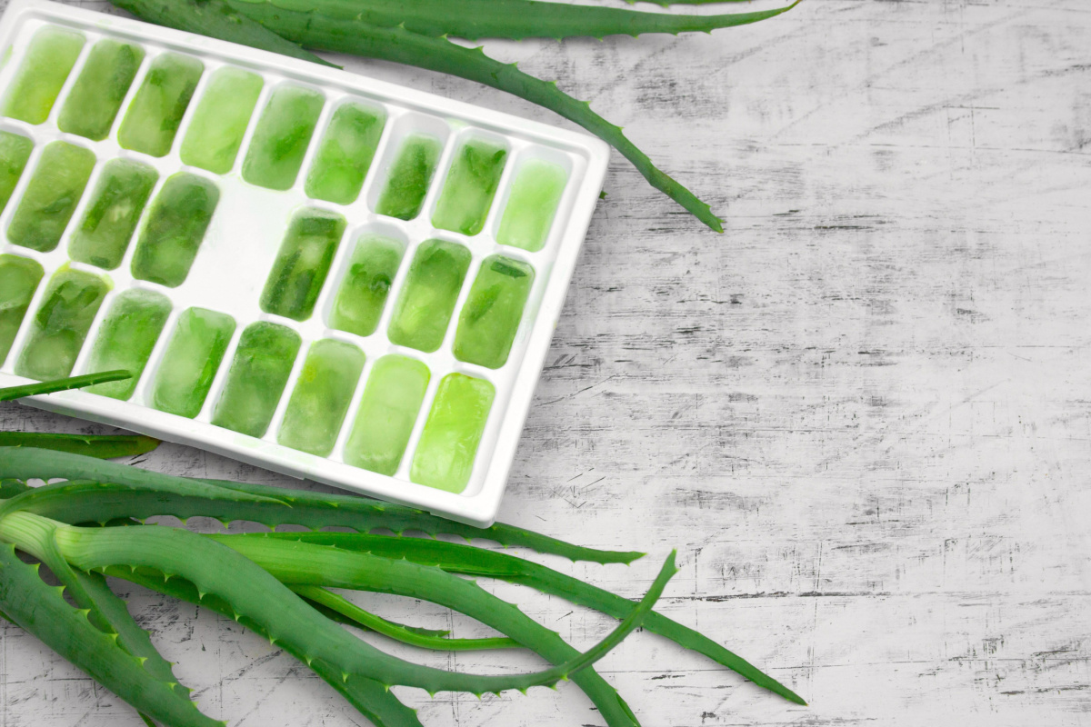 Aloe vera na tvár: ako používať prírodný gél na hydratáciu, zmiernenie zápalov a omladenie pokožky.
