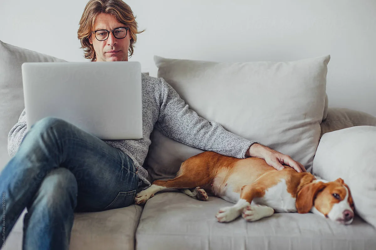 Podľa ochrancov zvierat, ako dlho môže pes zostať doma sám?