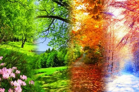 Dátum prechodu na zimný čas je už oficiálne potvrdený: v tento deň nadobúda platnosť nový zimný rozvrh.