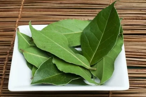 Ako bobkový list v kuchyni odpudzuje šváby a mravce. „Odvtedy, čo som to vyskúšal, som už nevidel žiadne hmyzie.“