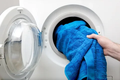Mnohí vkladajú vetvičku tejto obľúbenej rastliny do práčky, aby bolo prádlo sviežejšie a dlhšie si zachovalo vôňu.