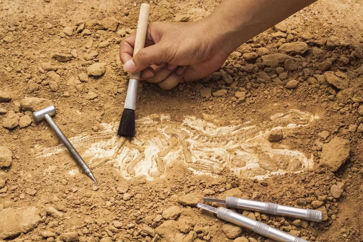 Archeologický objav: nález starý 5500 rokov ohromil výskumníkov svojou „mimoriadne pokrokovou“ povahou.