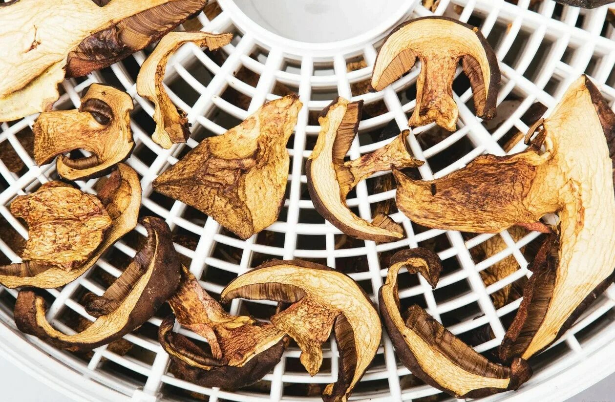 Domáce sušenie húb za dve hodiny. Overený postupný recept