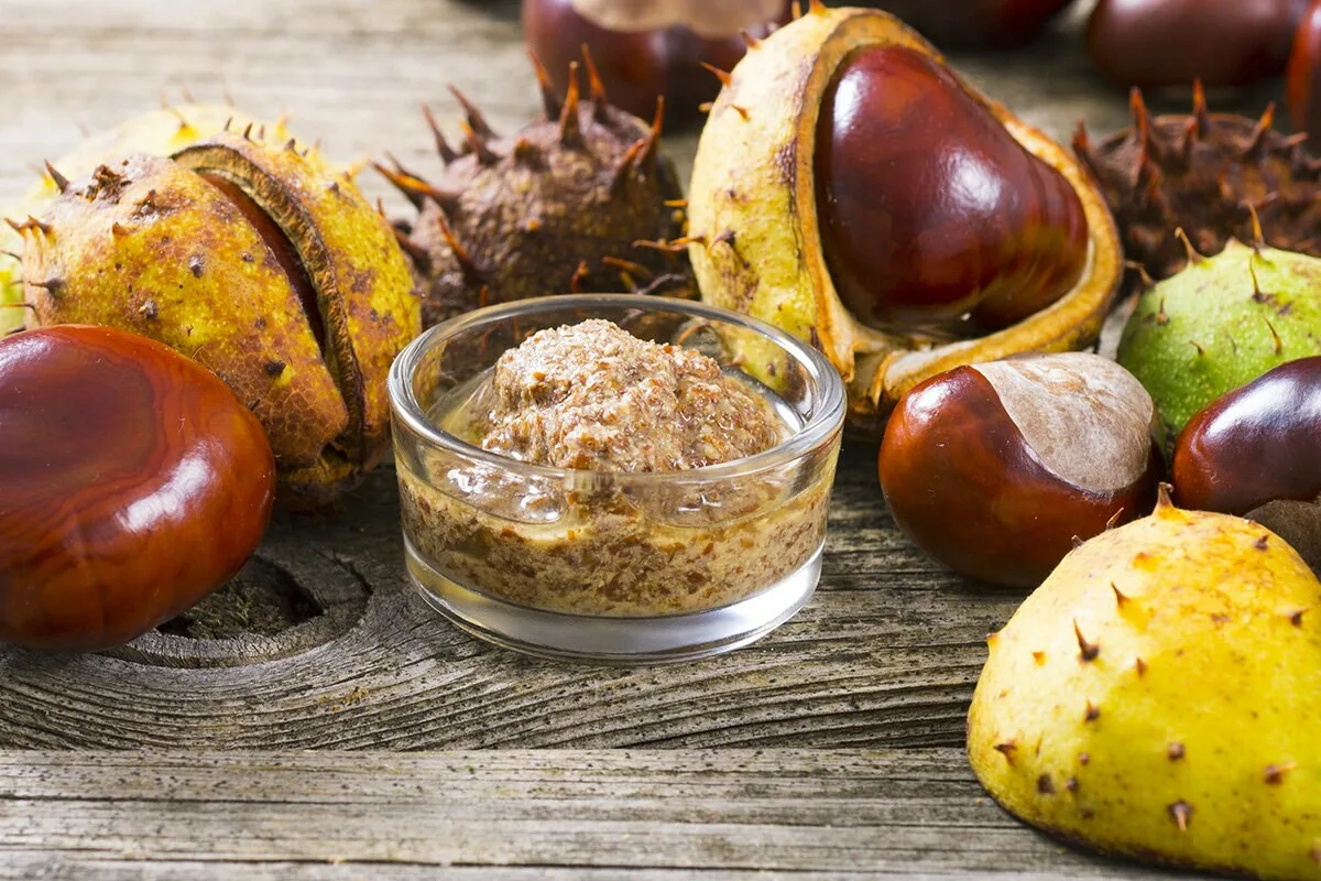 Namiesto drahých krémov použite gaštany. Prírodná cesta k krásnym nohám.