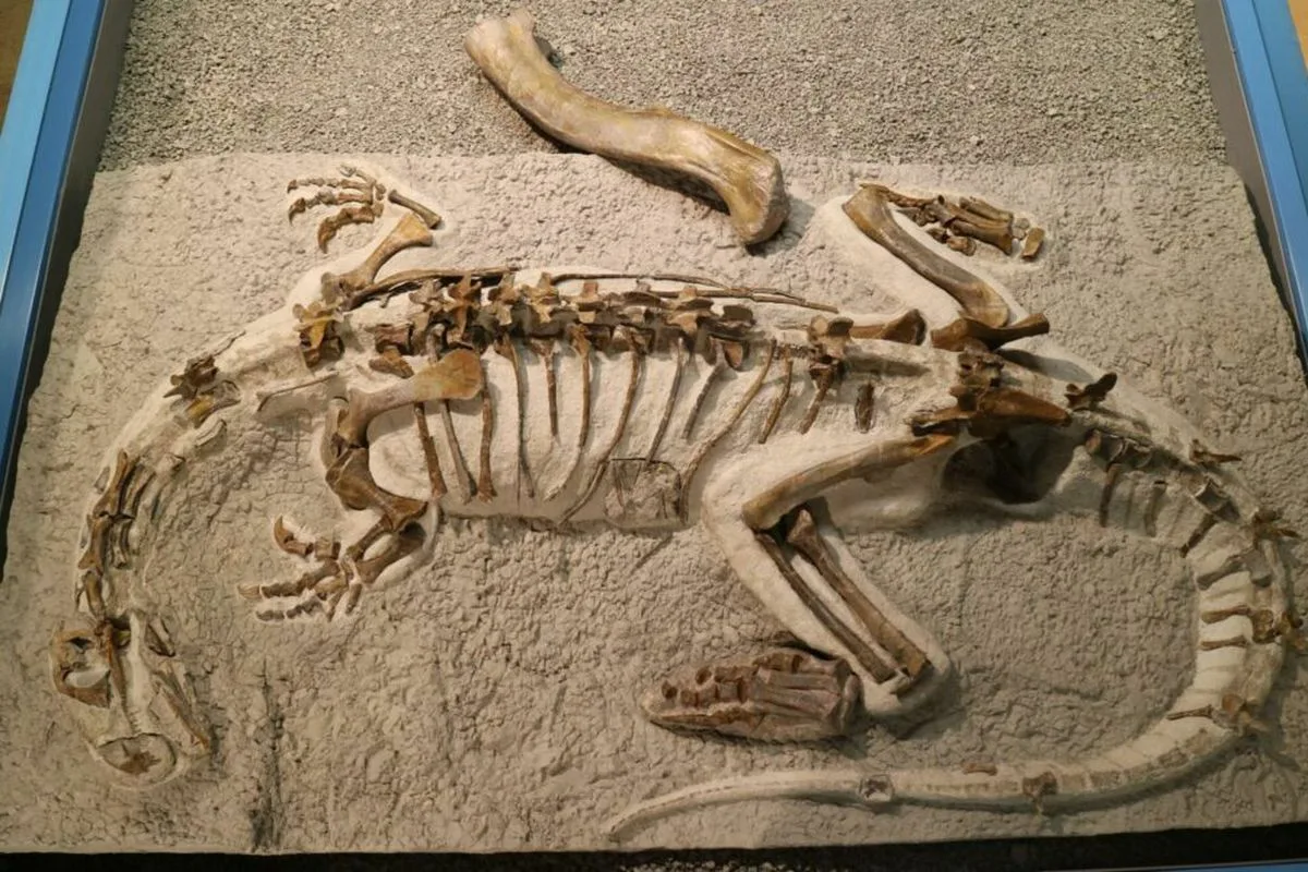 Paleontologická bomba: skamenelina staršia 183 miliónov rokov patrila novému druhu.