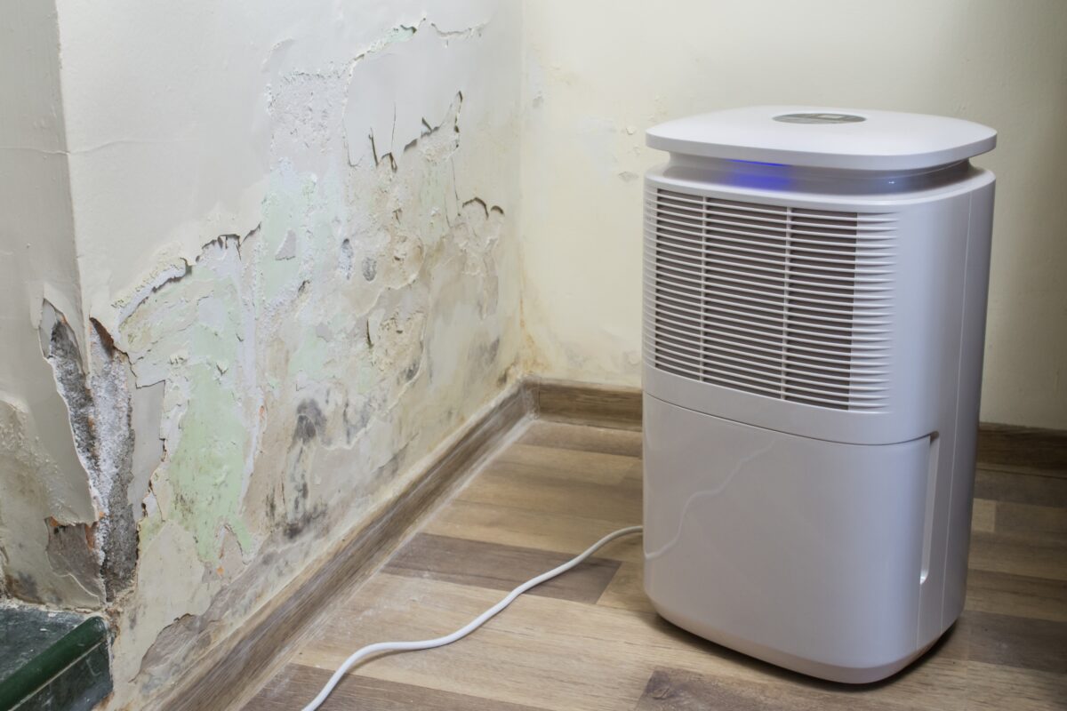 Žiadne ventilátory ani vysúšače vzduchu: jednoduchý domáci spôsob, ako sa zbaviť vlhkosti v dome.