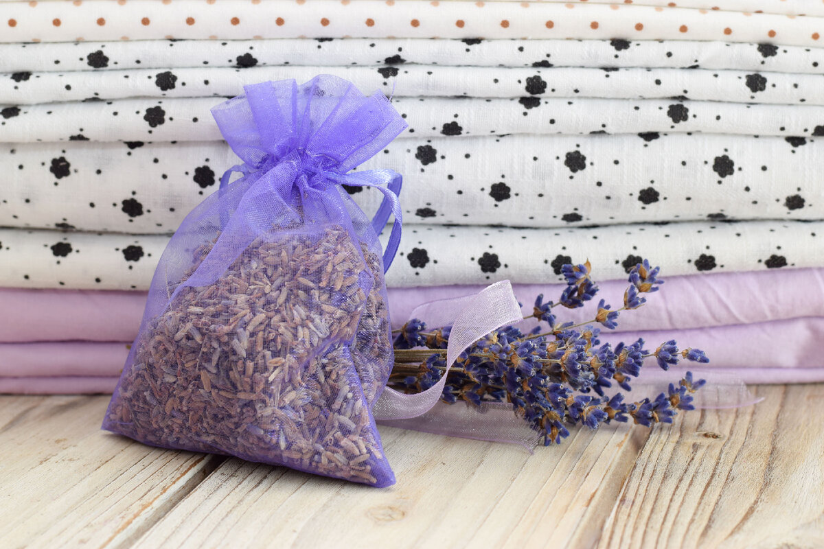 Dajte túto koreninu do skrine. Tak ochránite svoje oblečenie pred mole.