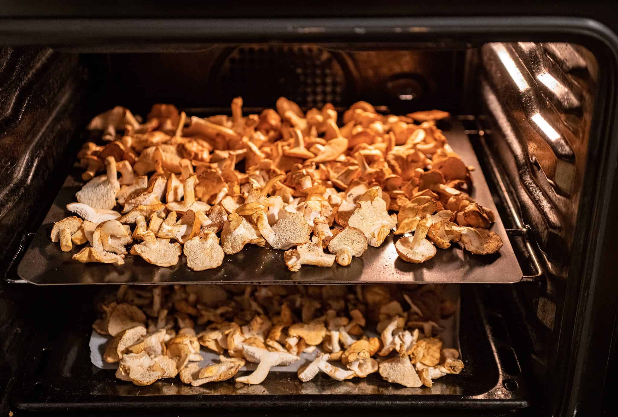 Domáce sušenie húb za dve hodiny. Overený postupný recept