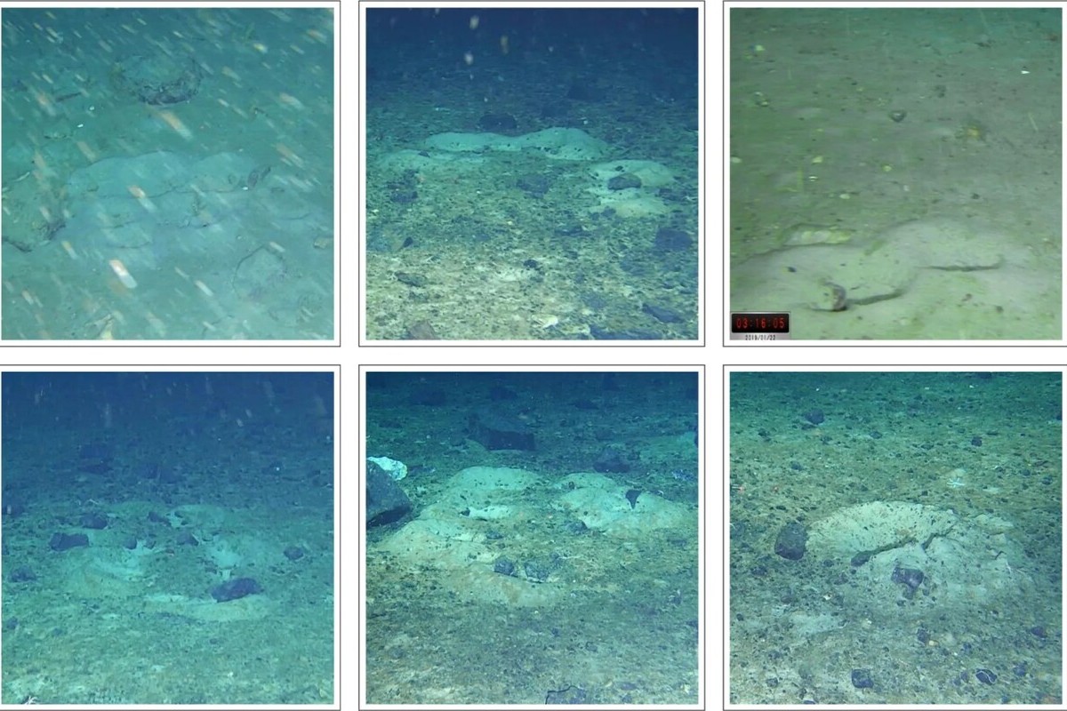 Objavili ich pod ľadom. Vedci: je to jedinečný nález