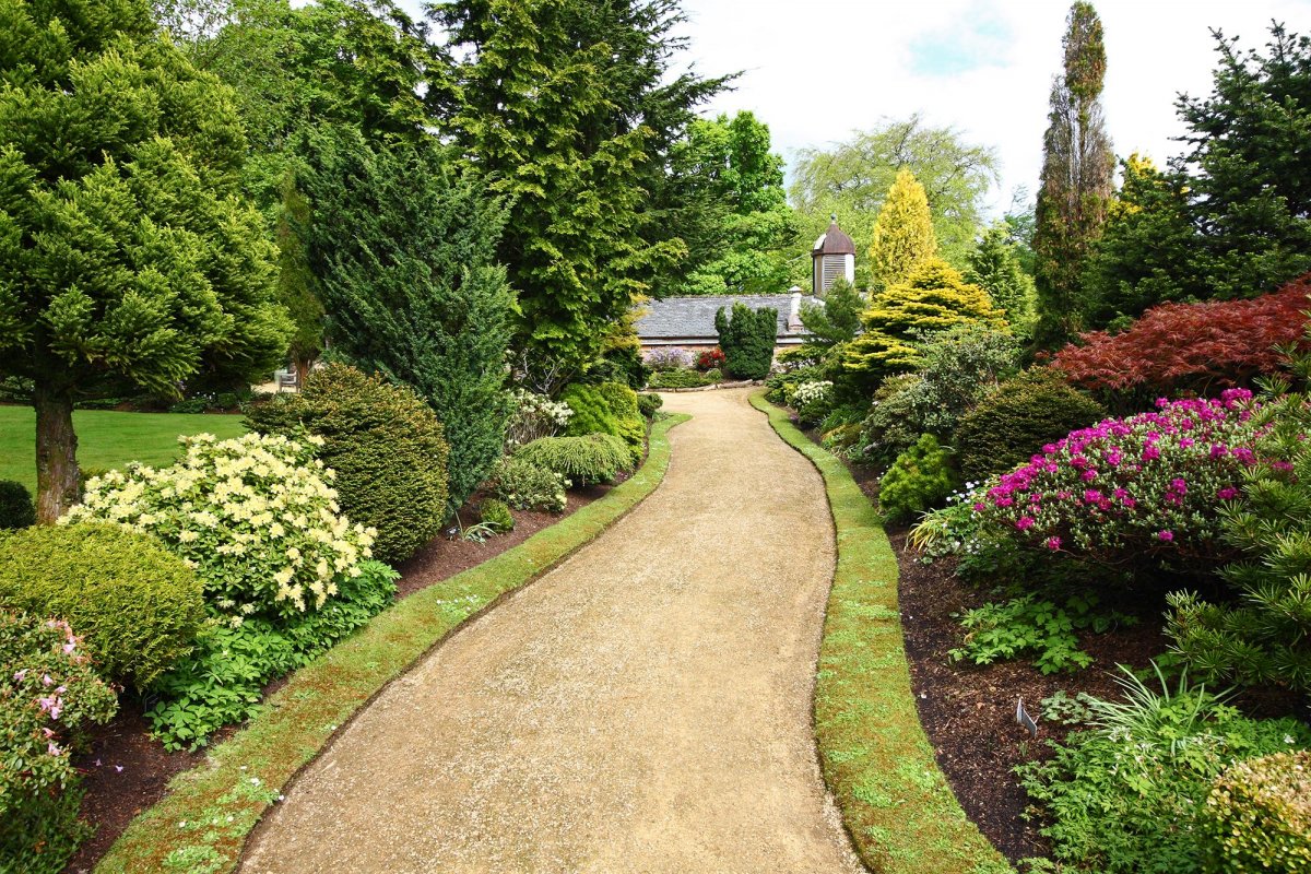 Nesadte tieto stromy do záhrady. Odborníci varujú pred 5 druhmi
