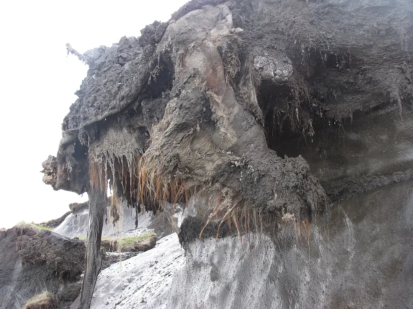 Mamut, ktorý zahynul pred 39 000 rokmi v dôsledku útoku jaskynných levov, umožnil získať najstaršiu RNA, ktorá bola doteraz izolovaná