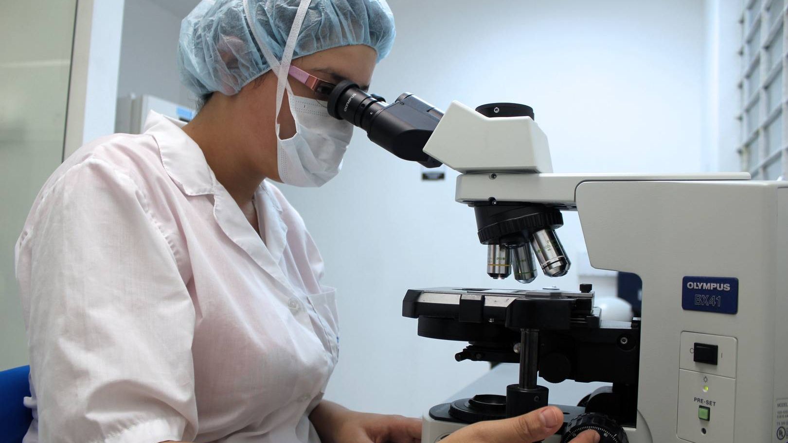 Koniec chudoby? Objavili rastlinu, ktorá produkuje čisté zlato a dá sa pestovať v každom dome