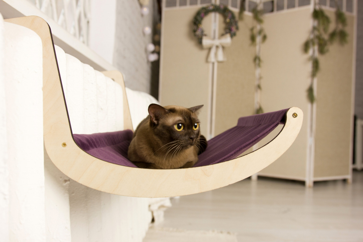 Zaveste to na radiátor a vaša mačka vás bude milovať