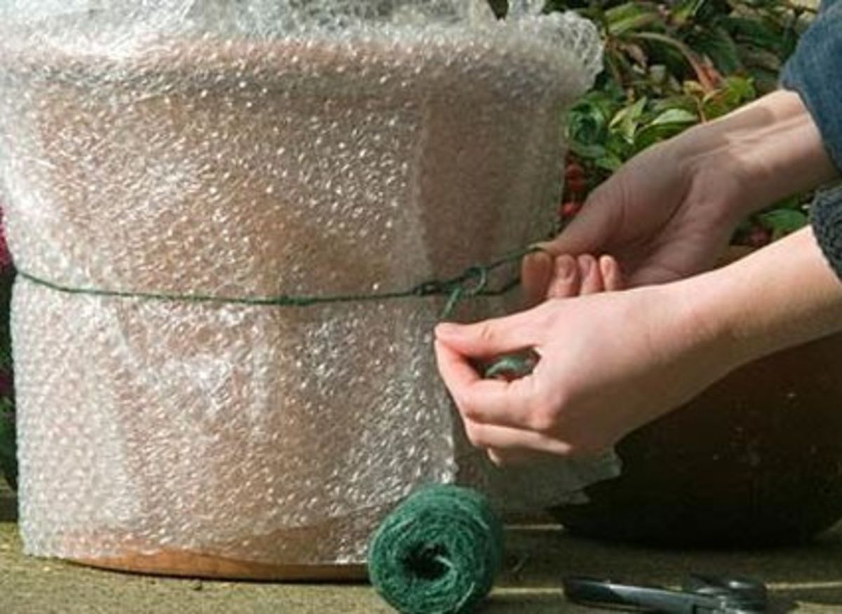 Nevyhadzujte bublinkovú fóliu. Môžete ju použiť v záhrade