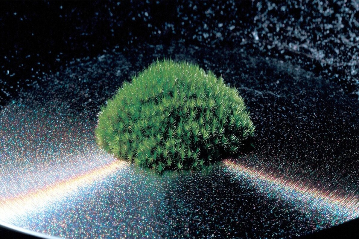 Nechali sme mach deväť mesiacov vo vesmíre, kde bol vystavený vákuu a žiareniu. Vrátil sa živý a prekonal všetky rekordy.