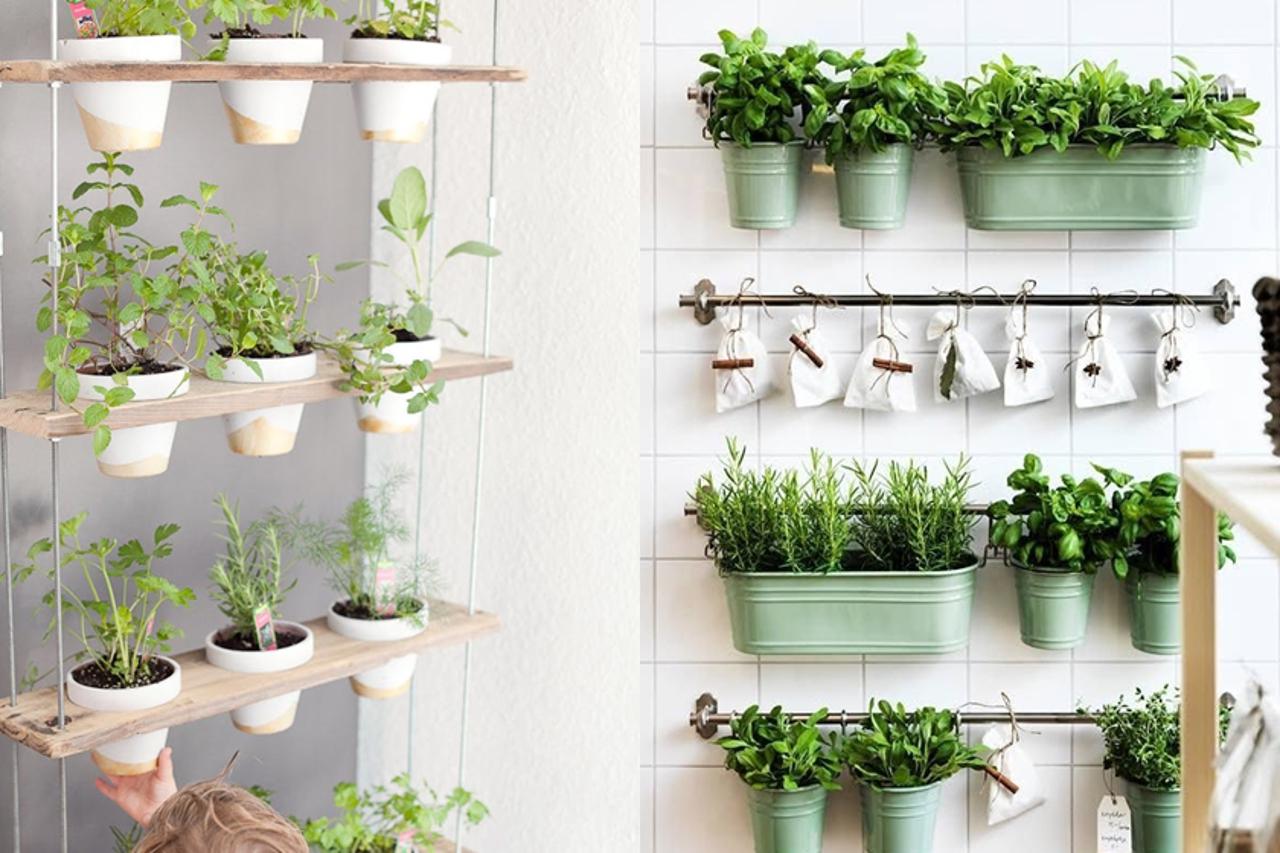 7 nápadov na vertikálne minizáhrady pre malé domy, naučte sa ich vytvárať a starať sa o ne pre začiatočníkov