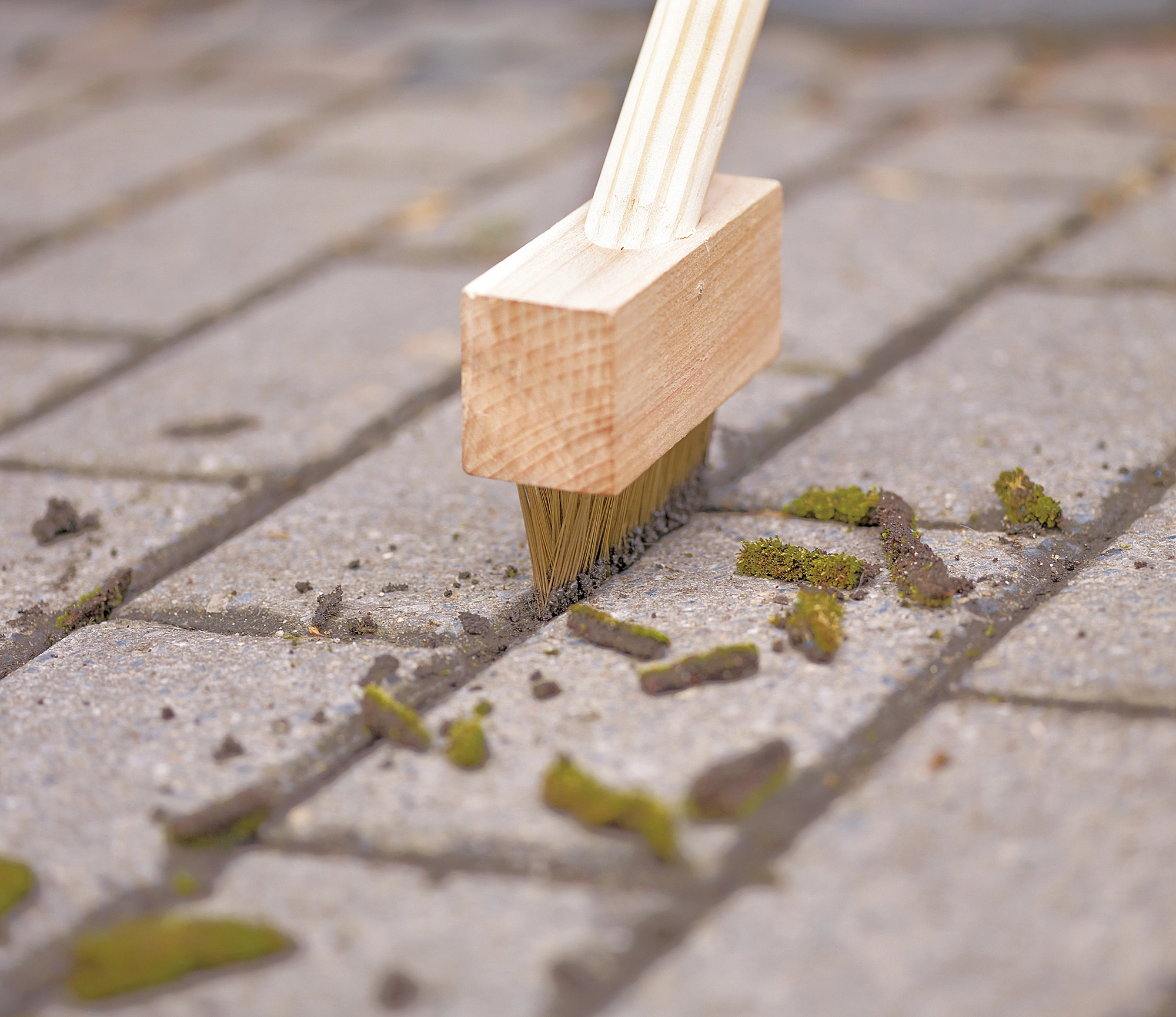 Ako odstrániť mach z dlažby: jednoduchý kuchynský prostriedok zachráni vašu záhradu