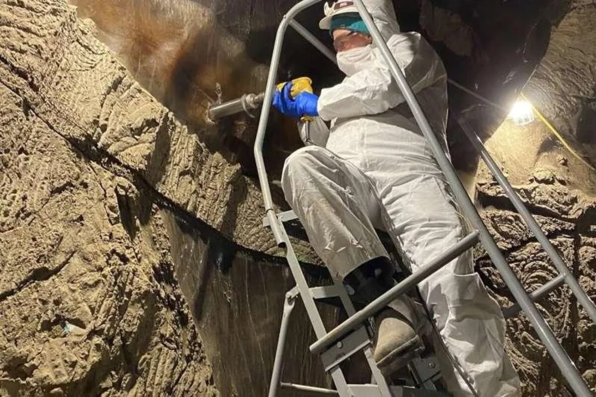 Staroveké mikroorganizmy, zmrazené počas 40 000 rokov, ožívajú, reorganizujú sa a začínajú pohlcovať uhlík