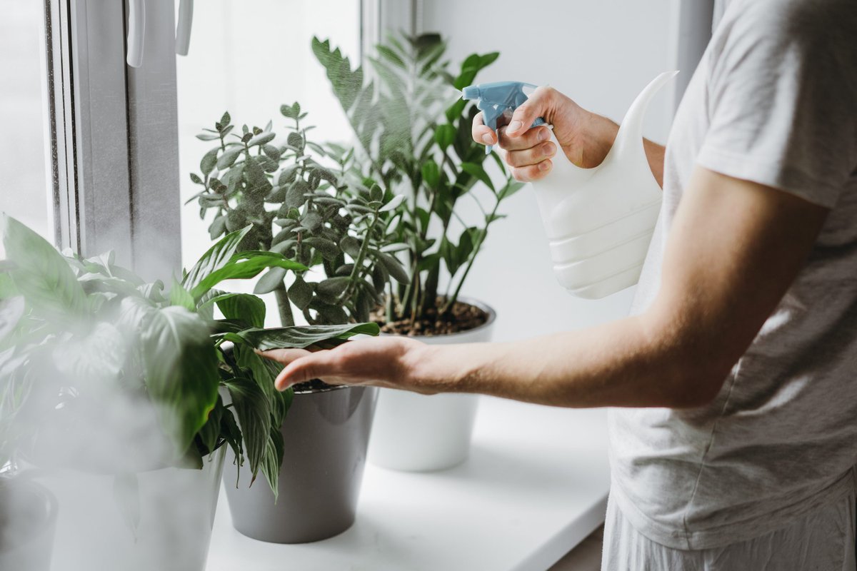 Ako sa starať o rastliny, aby prežili kúrenie v zime