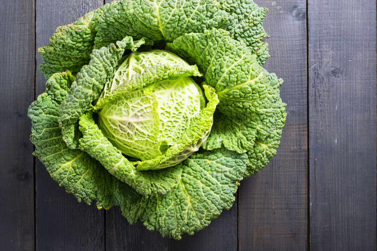 Kúpte si túto kapustu, keď ju uvidíte v obchode. Posilňuje srdce a kosti, pomáha vyhladzovať vrásky