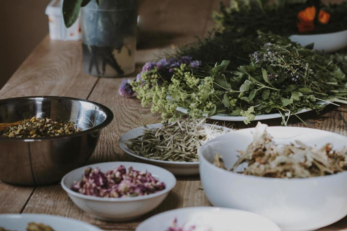 Zvyšujú odolnosť voči stresu. Cenné bylinky pre črevá a mozog