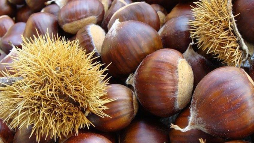 Chytré gazdinky radia skladovať gaštany v skrini – načo je to dobré?