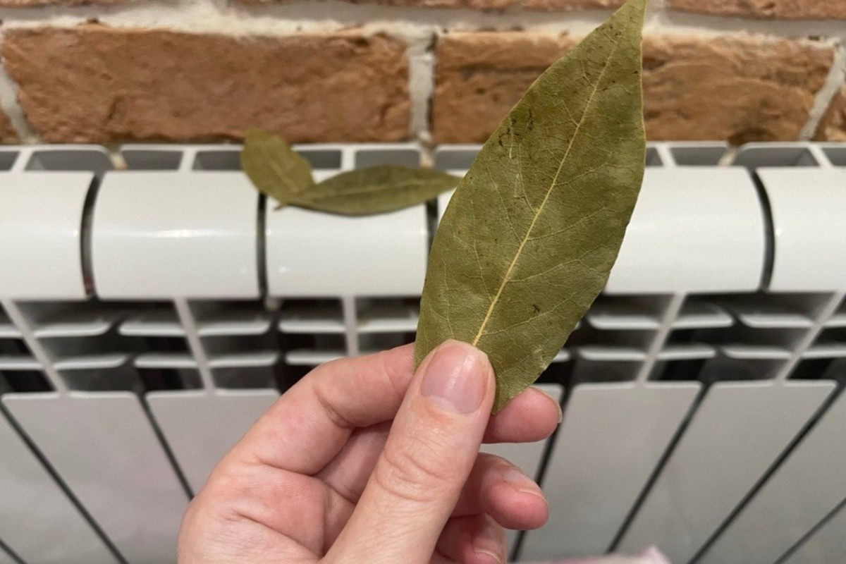 Položte vrecúško na radiátor. Rýchlo sa zbavíte stresu a uvoľníte napätie