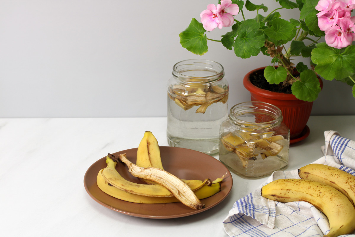 Pomocou jedného triku rastú izbové rastliny obzvlášť pekne