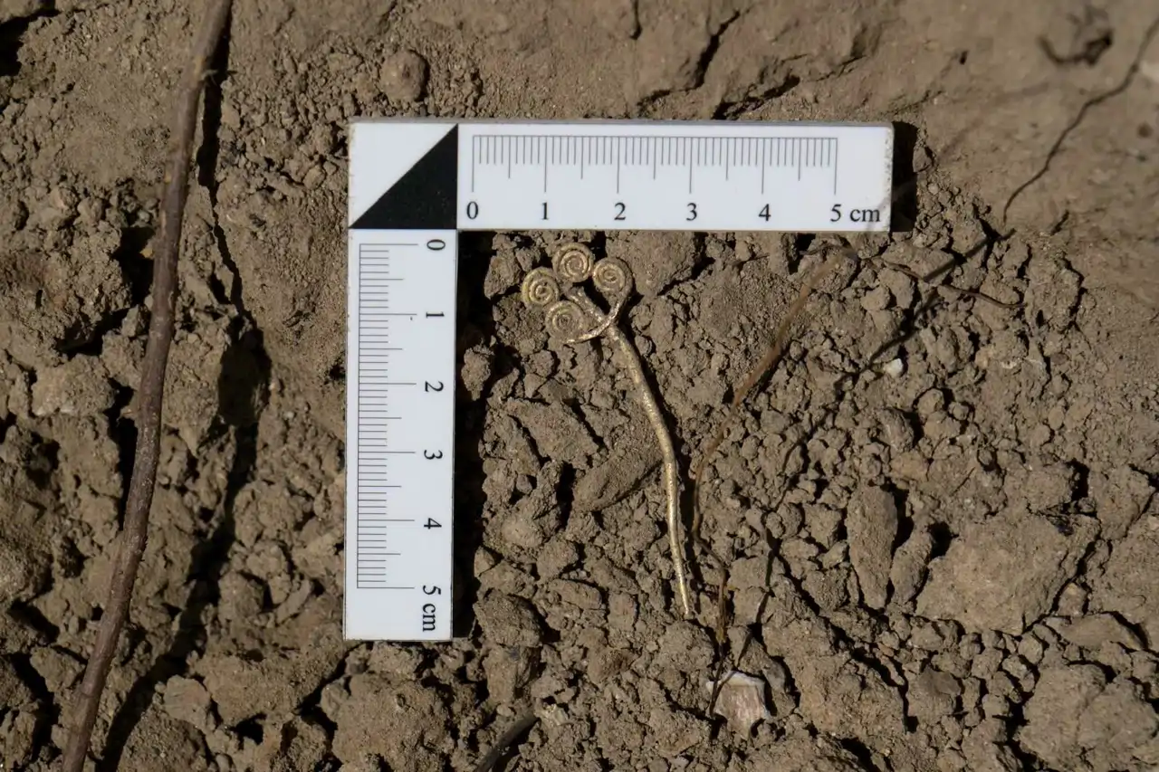 V Tróji bola objavená zlatá brošňa stará 4500 rokov: na svete existujú len tri takéto exempláre