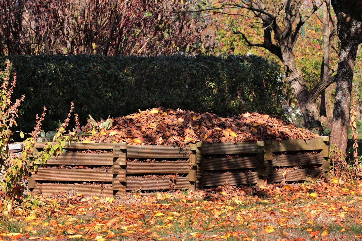 Tento starodávny japonský zvyk premení opadané lístie na zlato pre vašu pôdu