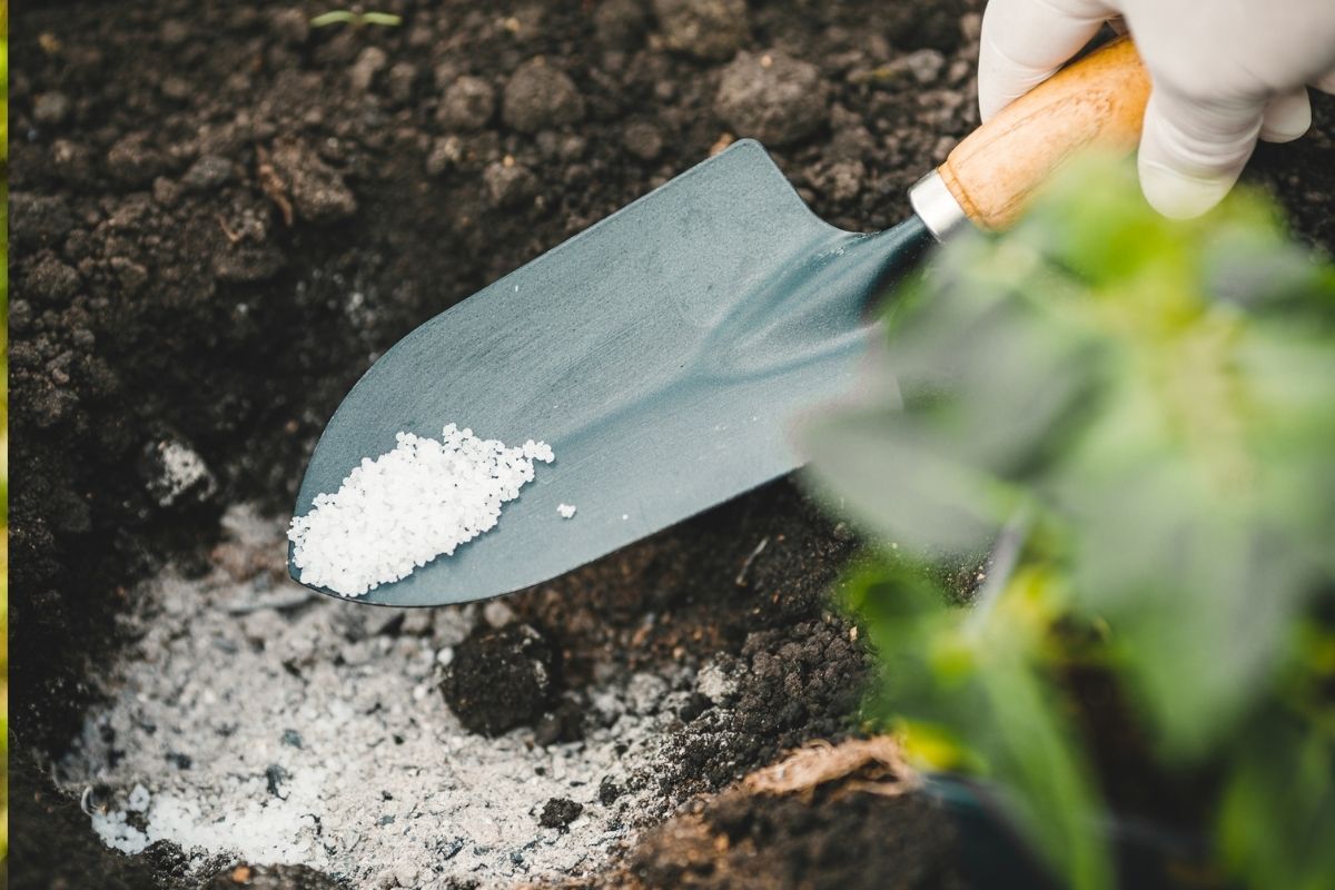 Zasuňte ho do zeme. A na niekoľko mesiacov zabudnete na krtkov