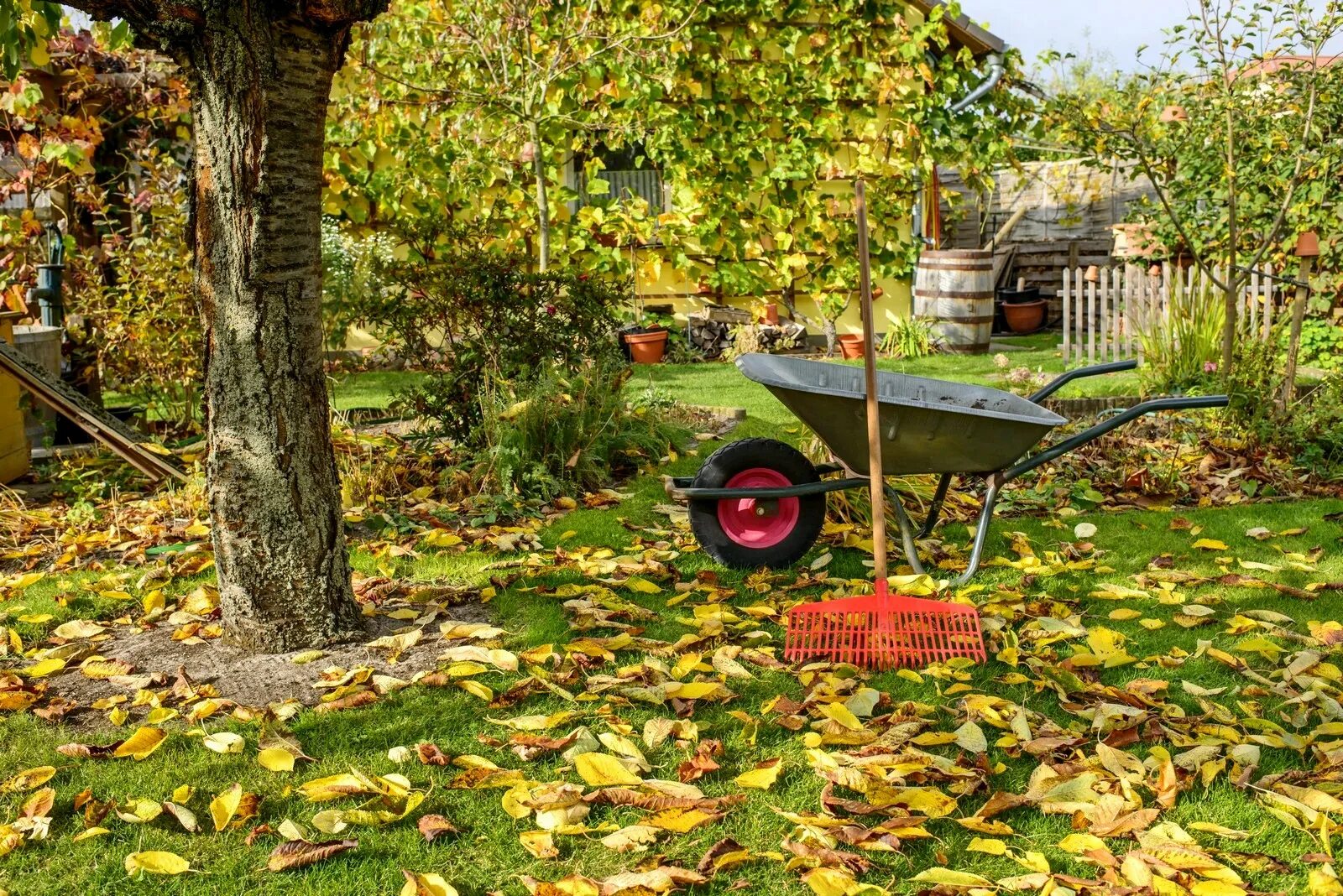 4 veci, ktoré nemožno v zime odstraňovať zo záhrady