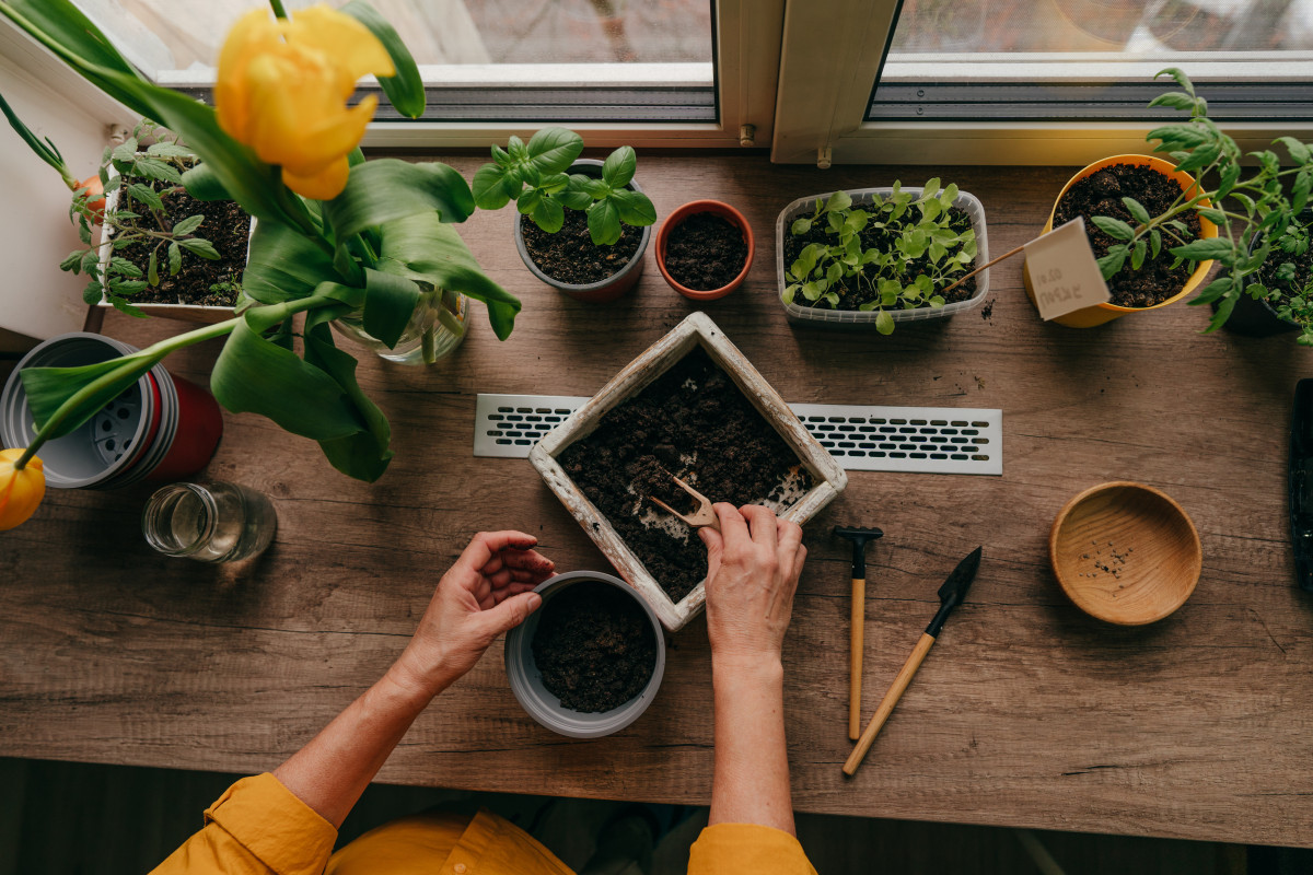 Pestovanie rastlín v kvetináčoch bez otvorov: je to naozaj dobrý nápad?