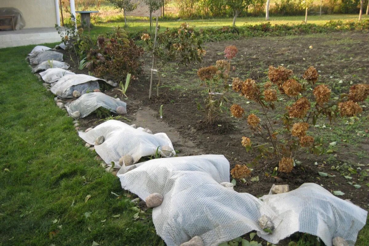 Nevyhadzujte bublinkovú fóliu. Môžete ju použiť v záhrade