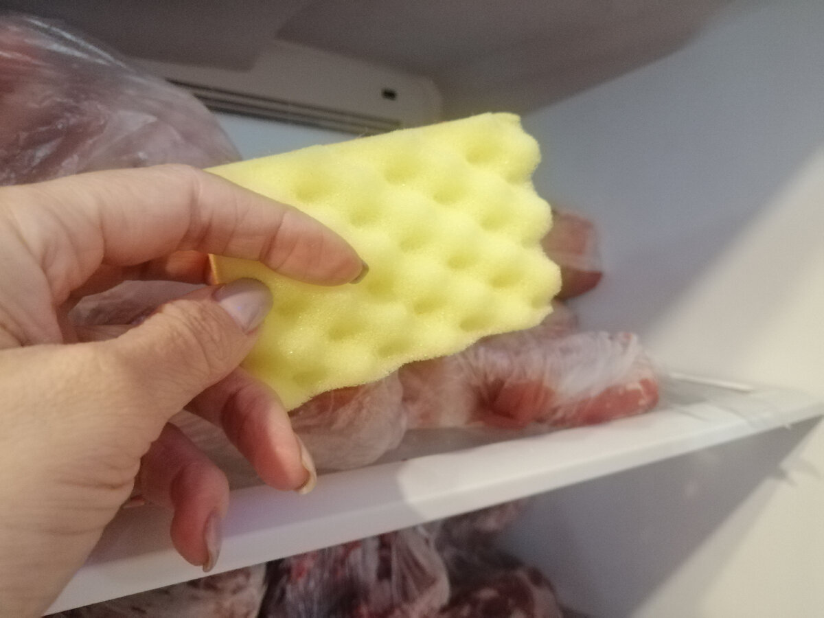 Prečo by mala byť v mrazničke hubka: jednoduchý trik pomôže vyhnúť sa veľkému problému