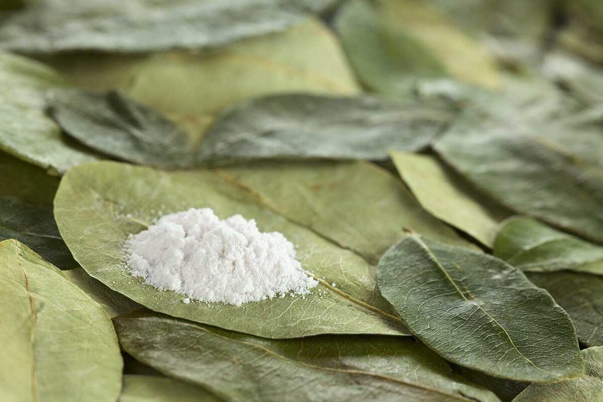 Zmiešajte bobkový list a jedlú sódu: načo to je potrebné a prečo sa to odporúča