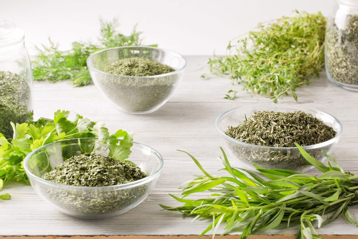 Aromatické rastliny vhodné na zimu